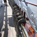 Antwerpen  Tall Ships Race (24)