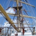 Antwerpen  Tall Ships Race (28)