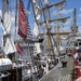 Antwerpen  Tall Ships Race (35)