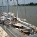 Antwerpen  Tall Ships Race (5)