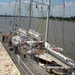 Antwerpen  Tall Ships Race (6)