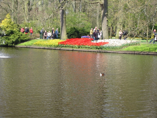 KEUKENHOF 2010 036