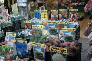 De bloemen markt.
