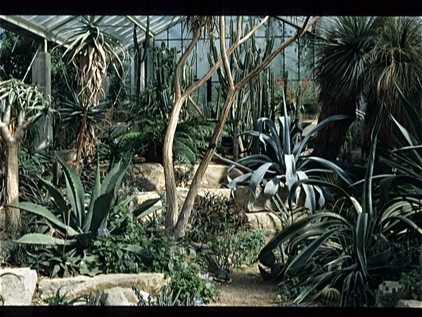 Botanische Tuin Kew (Londen)