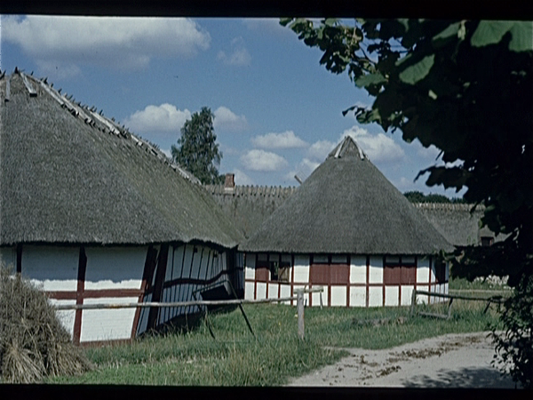 Den Fynske Landsby  (Denemarken)