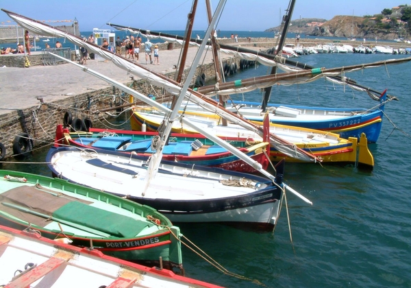 Collioure, de haven (2)