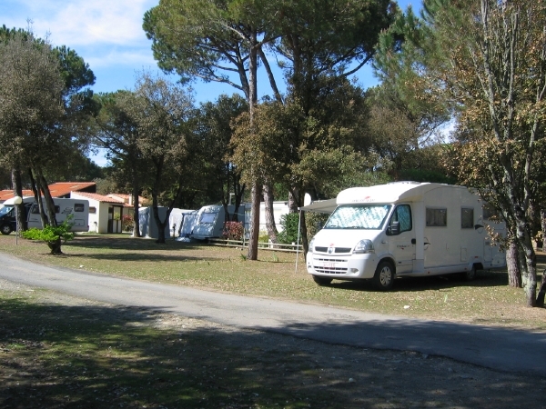 ile d'oleron 037