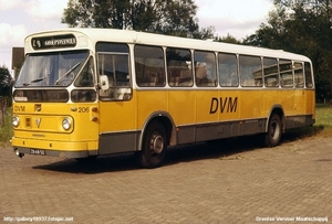 DVM206~1_1