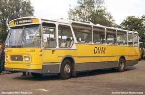 dvm223s