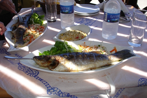 Lunch in taverna te Kefalos 2
