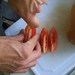 1e tomaat