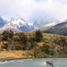 3c Torres del Paine NP _Rio Paine _Rio Paine _EV1