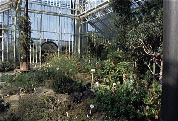 Botanische Tuin