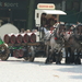 Brabandse trekpaarden met bierwagen