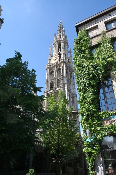 De OLV kathedraal 123 m hoog!