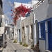 Griekenland 2010 086