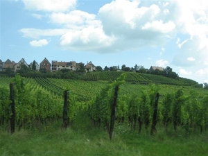 dorpen op de route du vin (31) (Small)