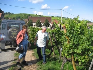 dorpen op de route du vin (43) (Small)