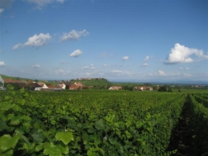 dorpen op de route du vin (44) (Small)