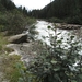20100819 100 Krimml - watervallen, oude Tauernweg