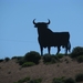026 De Stier van Andalucia