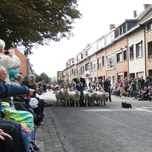 geitenstoet Wilrijk 19 septemer 2010 065