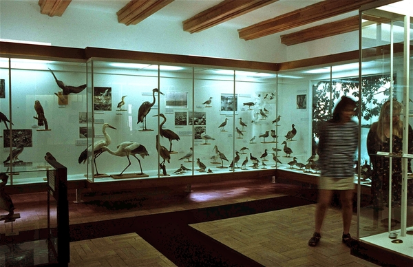Natuurhistorisch Museum