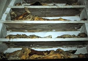 Catacomben van de Capucijnen