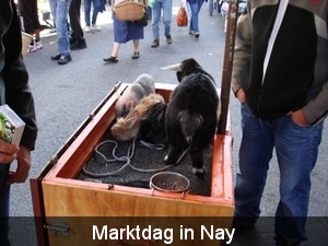 Marktdag in Nay