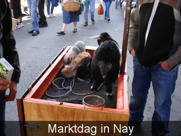 Marktdag in Nay