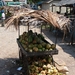 kokos-stilleven