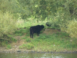 Weerterbergen Min 037