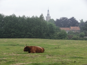 Aardenburg (11)