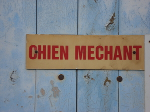 Chien mechant