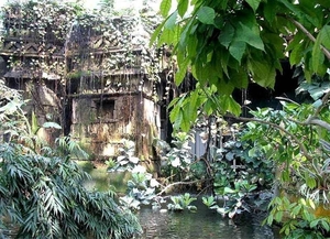 Maya tempel
