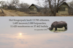 Het Krugerpark