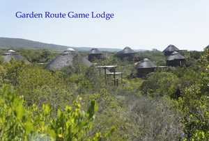 Garden Game  Lodge
