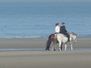 strandwandeling te paard