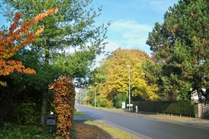 Onze straat in de herfst 2010