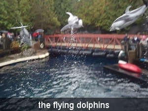 the flying dolphins