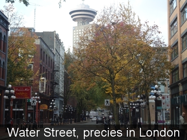 Water Street, precies in London