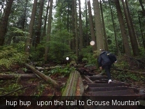 hup hup   upon the trail to Grouse Mountain