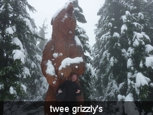 twee grizzly's