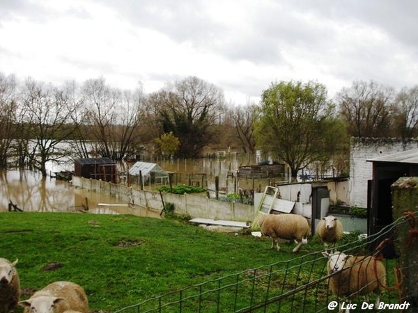 Denderleeuw overstroming wateroverlast