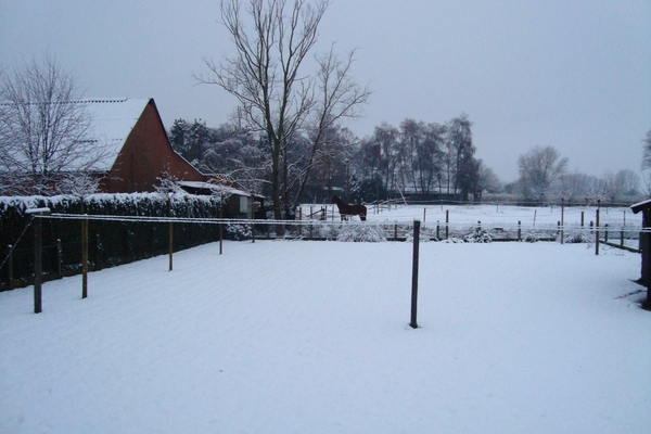 sneeuw 2010 003