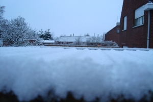 sneeuw 2010 005