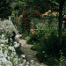Tuinen van Monet in Giverny