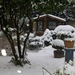Sneeuw in tuin 2 Decemb.2010