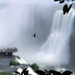 2 Iguacu_watervallen 68