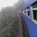 3 Curitiba__Morretes treinverbinding 2